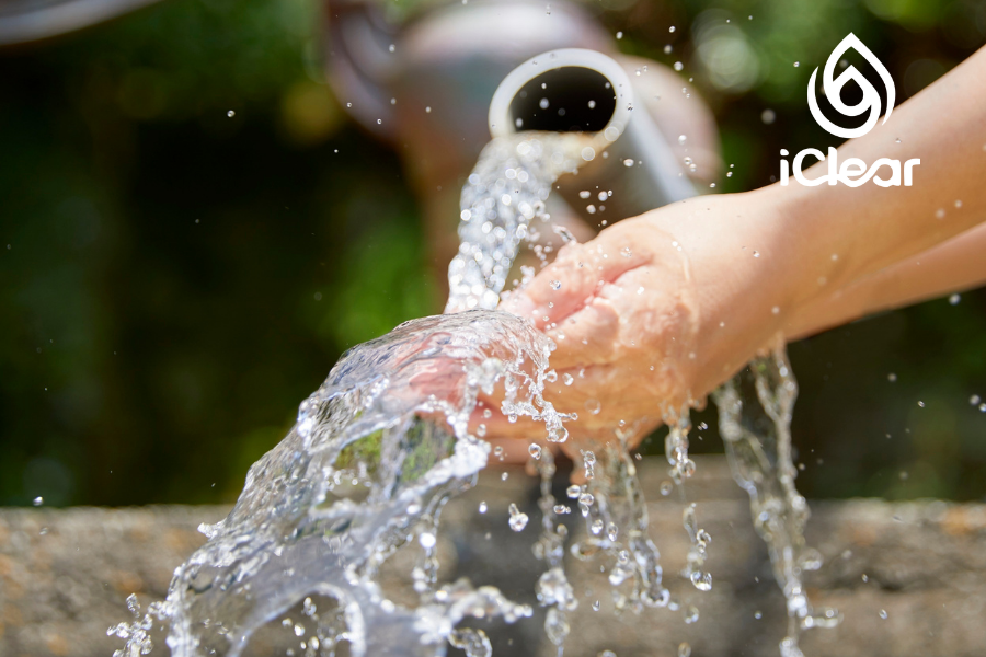 Does a Water Dispenser Purify Water? A Straight Answer