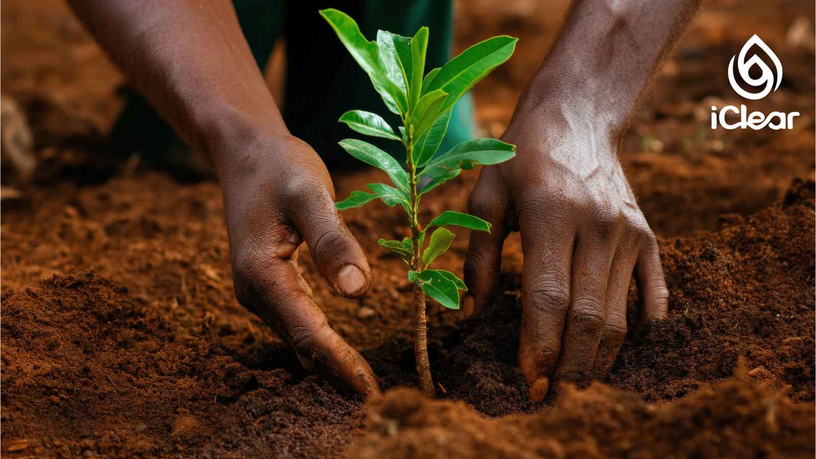Mazingira Day 2026: What It Means for the Water Kenyans Drink
