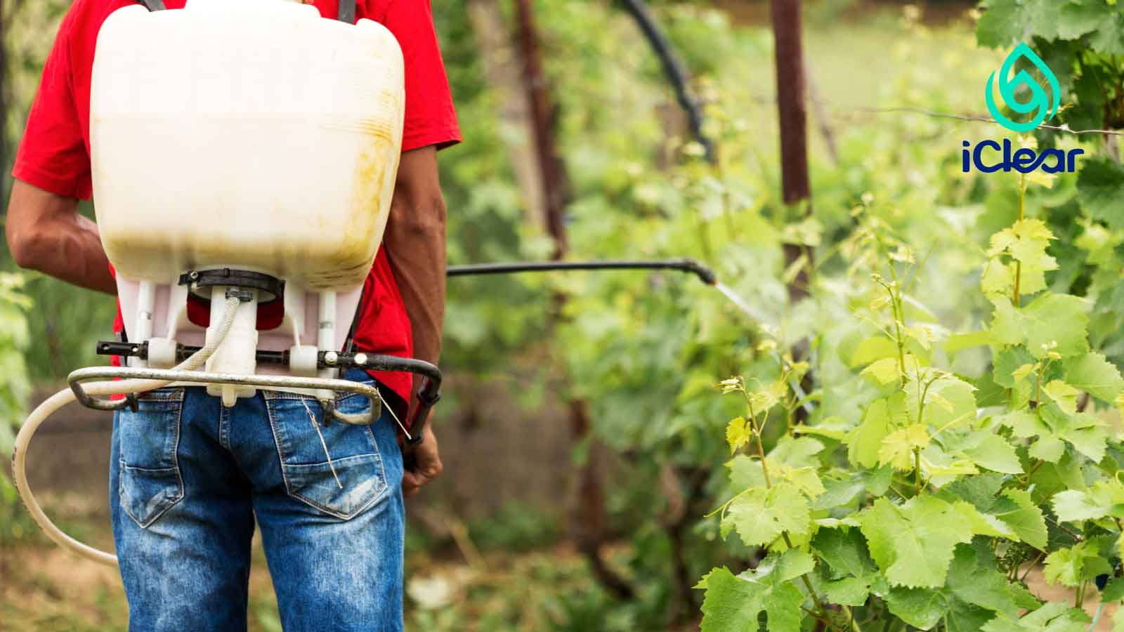 Does Your Water Purifier Actually Remove Pesticides?