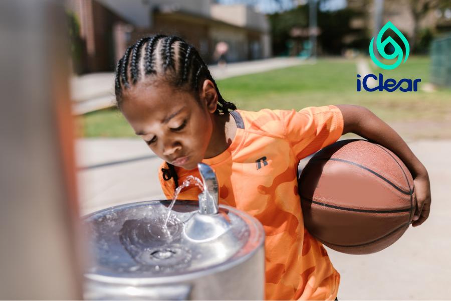 Water Dispenser vs Water Purifier: The Honest Difference